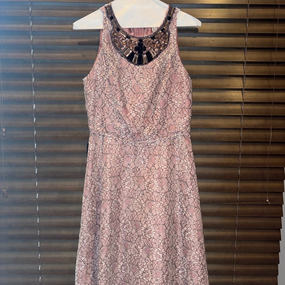 Adrianna Papell Rose Pink Lace A-Line Dress with Beaded Neckline